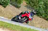 Slovakia-Ring;event-digital-images;motorbikes;no-limits;peter-wileman-photography;trackday;trackday-digital-images